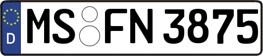 MS-FN3875