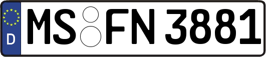 MS-FN3881