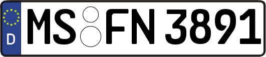 MS-FN3891