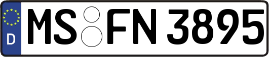 MS-FN3895