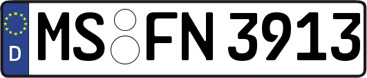 MS-FN3913