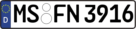 MS-FN3916