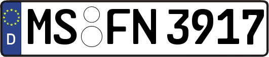 MS-FN3917