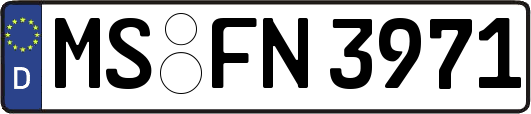 MS-FN3971