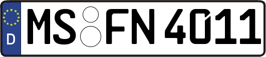 MS-FN4011
