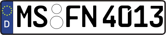 MS-FN4013