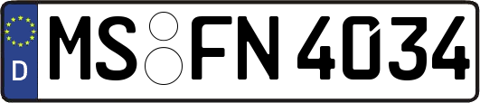 MS-FN4034
