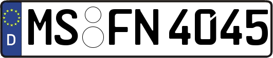 MS-FN4045