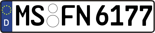 MS-FN6177