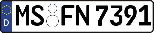 MS-FN7391