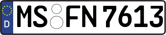 MS-FN7613