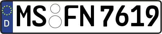 MS-FN7619