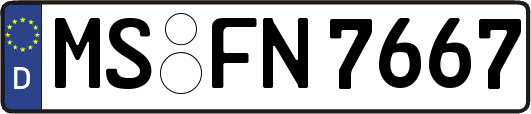 MS-FN7667