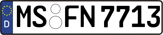 MS-FN7713
