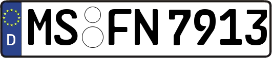 MS-FN7913