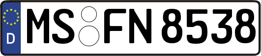 MS-FN8538