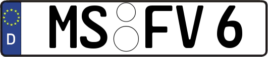 MS-FV6