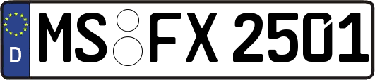 MS-FX2501