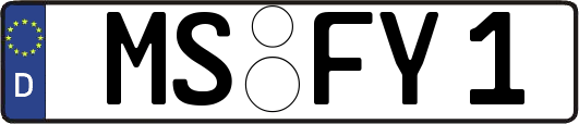 MS-FY1