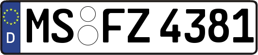 MS-FZ4381