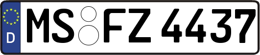 MS-FZ4437