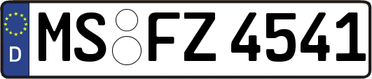 MS-FZ4541