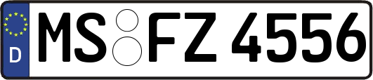MS-FZ4556