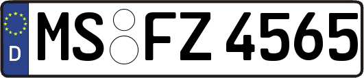 MS-FZ4565