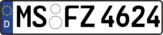 MS-FZ4624