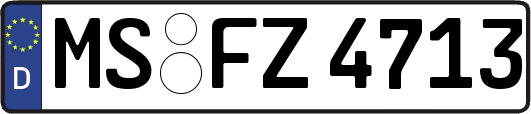 MS-FZ4713