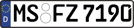 MS-FZ7190