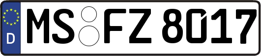 MS-FZ8017