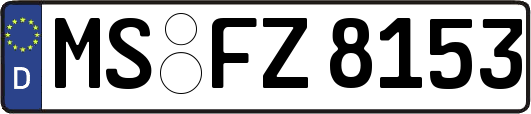 MS-FZ8153