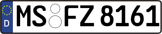 MS-FZ8161
