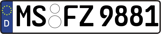MS-FZ9881