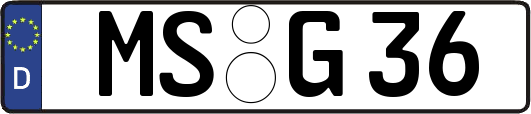 MS-G36