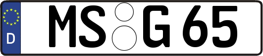 MS-G65