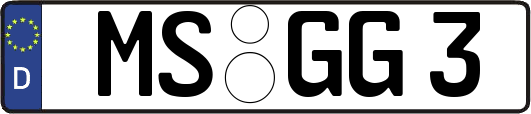 MS-GG3