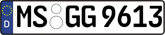 MS-GG9613