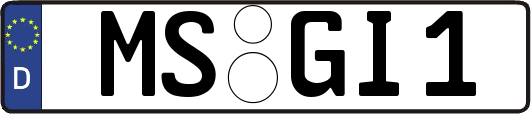 MS-GI1