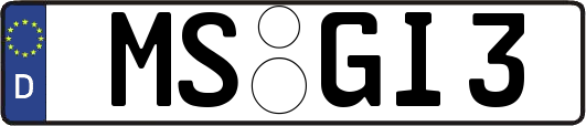 MS-GI3