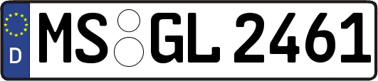 MS-GL2461