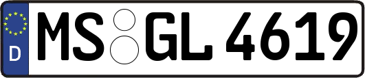 MS-GL4619