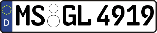 MS-GL4919