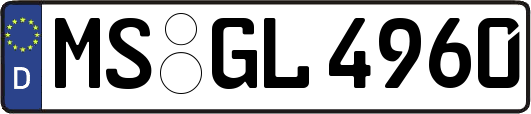 MS-GL4960