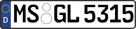MS-GL5315