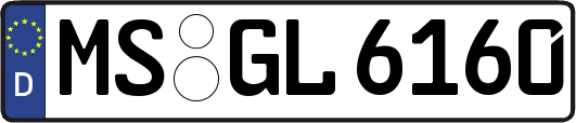 MS-GL6160