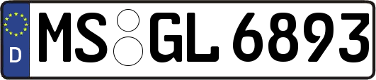 MS-GL6893