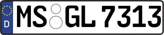 MS-GL7313