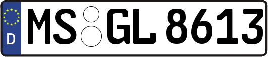 MS-GL8613